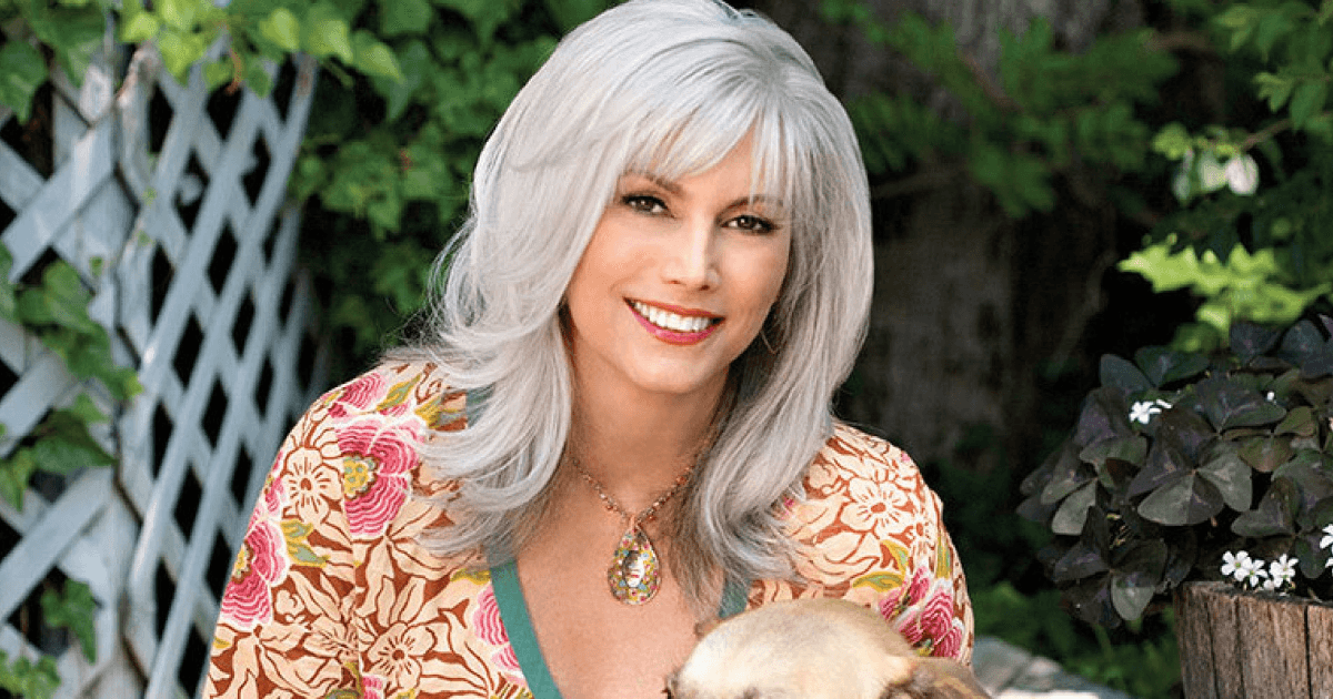 Thiet ke chua co ten 2025 11 17T173951.864